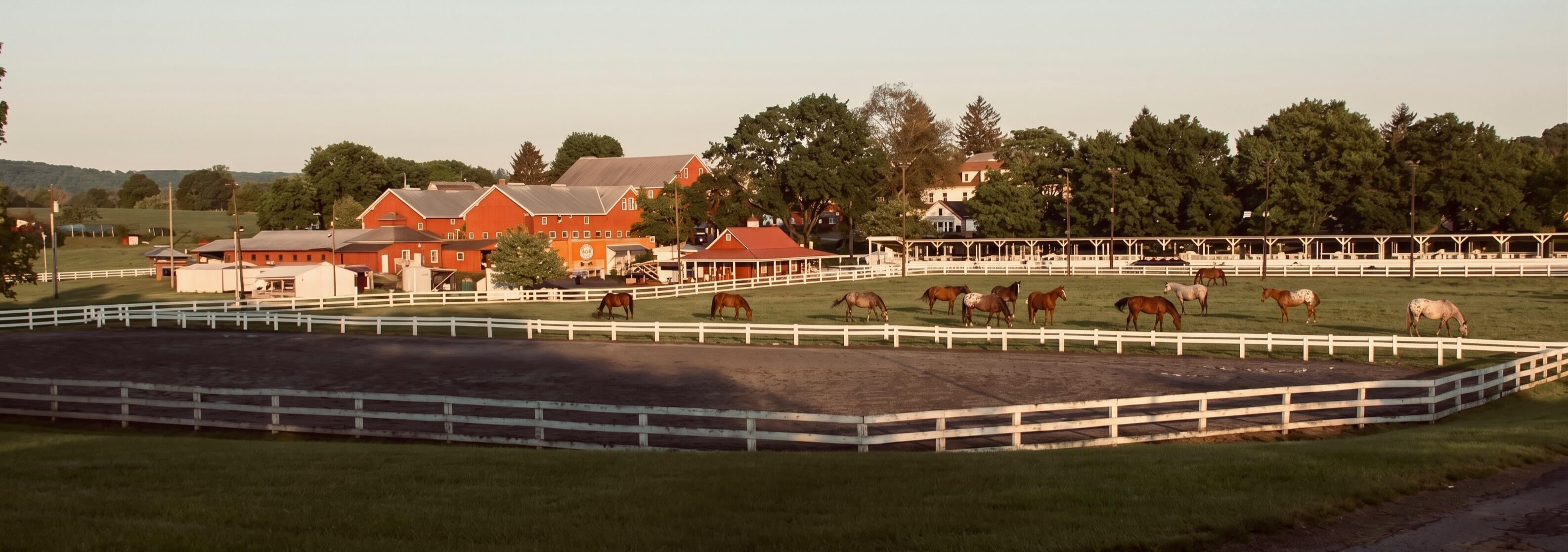 Aerial view of the historic Quentin Riding Club grounds in Pennsylvania, with red barns, white fencing, and horses grazing in the ring